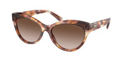 Ralph Lauren RL8213 Havana Sunglasses