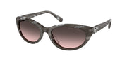 Ralph Lauren RL8226U Oystershell Black Sunglasses