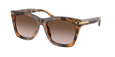 Ralph Lauren RL8235U Sunglasses