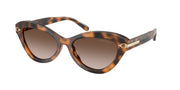 Ralph Lauren RL8236U Havana Sunglasses
