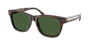 Ralph Lauren RL8239U Havana Sunglasses