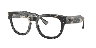 Ray-Ban RX0298V Eyeglasses