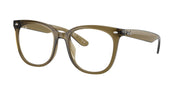 Ray-Ban RX4379VD Transparent Dark Green Eyeglasses