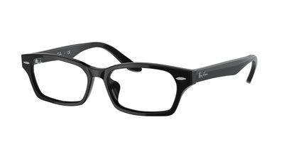 Ray-Ban RX5344D Eyeglasses