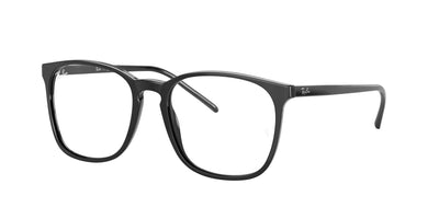 Ray-Ban RX5387 Eyeglasses