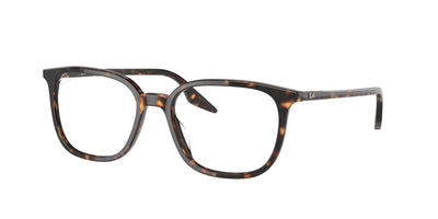 Ray-Ban RX5406 Eyeglasses