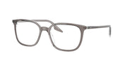 Ray-Ban RX5406 Grey On Transparent Eyeglasses