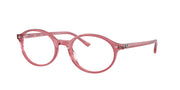 Ray-Ban RX5429 Pink Eyeglasses