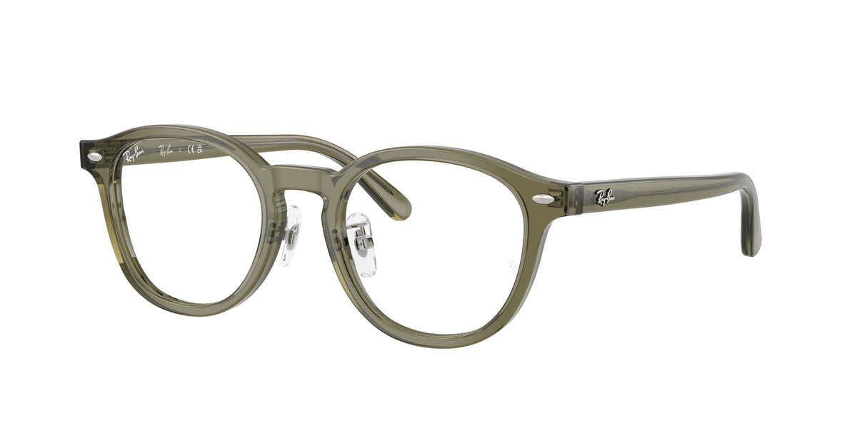 Ray-Ban RX5443D Transparent Brown Heart Eyeglasses