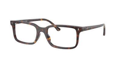 Ray-Ban RX5445 Eyeglasses