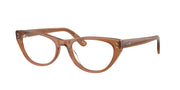 Ray-Ban RX5449D Transparent Brown Eyeglasses
