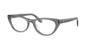 Ray-Ban RX5449D Transparent Grey Eyeglasses