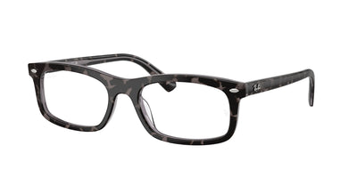 Ray-Ban RX5450F Eyeglasses