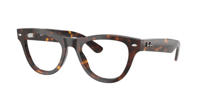Ray-Ban RX5510 Eyeglasses