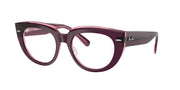 Ray-Ban RX5586 Violet On Transparent Pink Eyeglasses