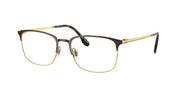 Ray-Ban RX6494 Havana On Gold Eyeglasses