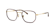 Ray-Ban RX6496 Havana On Arista Eyeglasses
