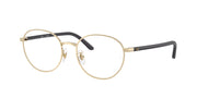 Ray-Ban RX6538D Pale Gold Eyeglasses