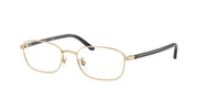 Ray-Ban RX6551D Pale Gold Eyeglasses