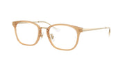 Ray-Ban RX7247D Transparent Brown On Pale Gold Eyeglasses