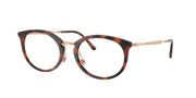 Ray-Ban RX7255 Striped Havana Eyeglasses