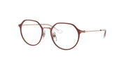 Ray-Ban RY1058 Bordeaux On Rose Gold Eyeglasses Kids