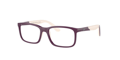 Ray-Ban RY1621 Eyeglasses