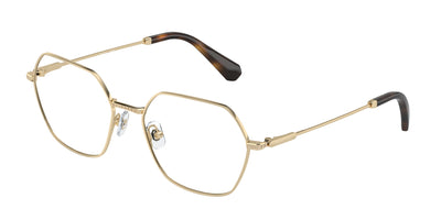 Swarovski SK1011 Eyeglasses