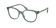 Swarovski SK2002 Transparent Green Eyeglasses