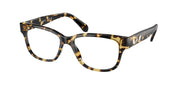 Swarovski SK2007 Havana Clear Eyeglasses