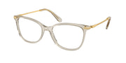 Swarovski SK2010 Beige Transparent Eyeglasses