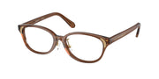 Swarovski SK2040D Transparent Brown Eyeglasses