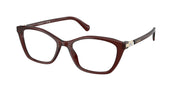 Swarovski SK2065 Transparent Burgundy Eyeglasses
