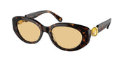 Swarovski SK6002 Dark Havana Sunglasses