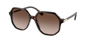 Swarovski SK6003F Havana Sunglasses