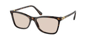 Swarovski SK6004 Dark Havana Sunglasses
