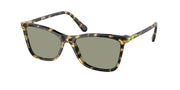 Swarovski SK6004 Havana Sunglasses
