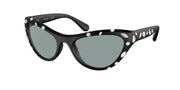 Swarovski SK6007 Matte Black Sunglasses