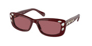 Swarovski SK6008 Burgundy Sunglasses