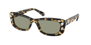 Swarovski SK6008 Medium Havana Sunglasses