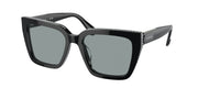 Swarovski SK6013 Black Sunglasses