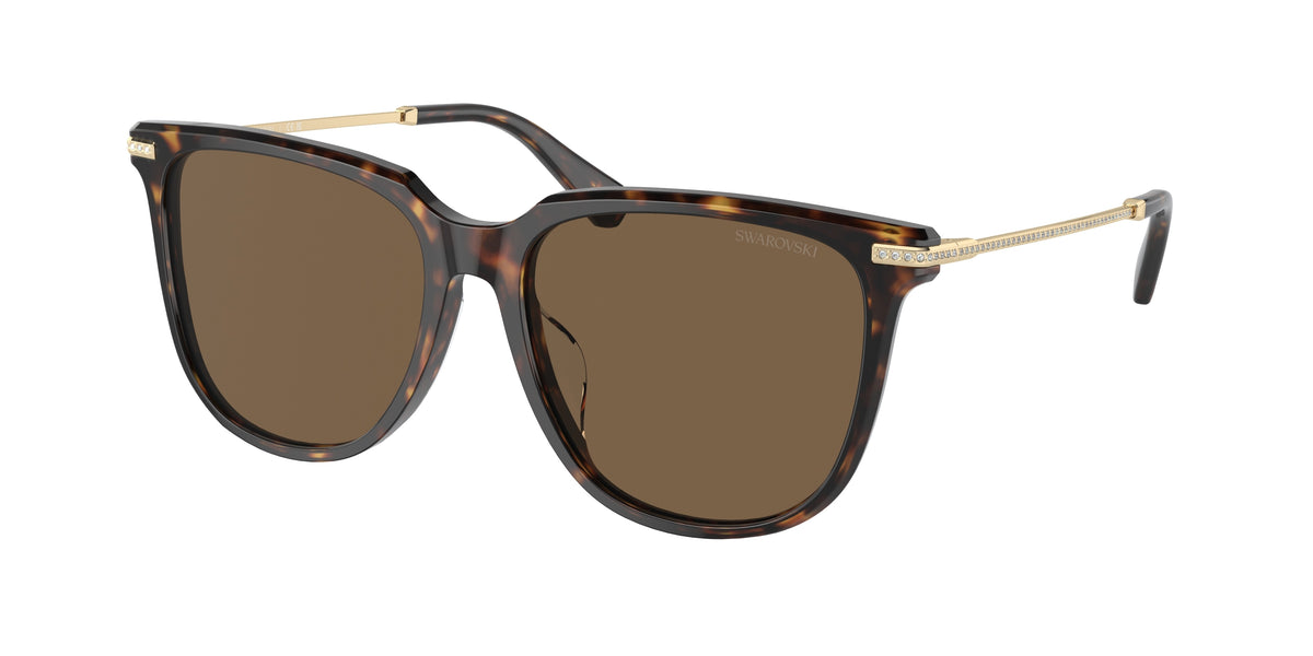 Swarovski SK6015D Dark Havana Sunglasses