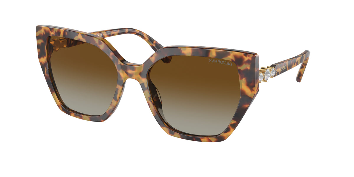Swarovski SK6016F Medium Havana Sunglasses