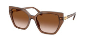 Swarovski SK6016 Transparent Brown Sunglasses