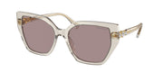 Swarovski SK6016 Transparent Beige Sunglasses