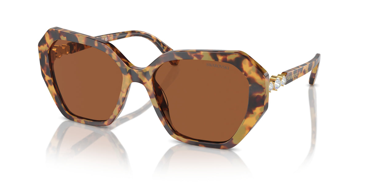 Swarovski SK6017 Medium Havana Sunglasses