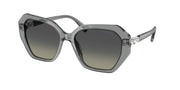 Swarovski SK6017 Transparent Grey Sunglasses
