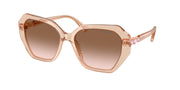 Swarovski SK6017 Transparent Beige Sunglasses