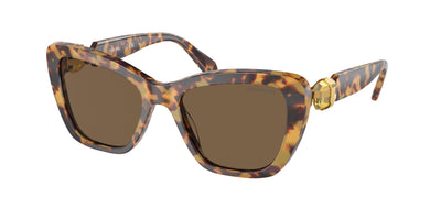 Swarovski SK6018F Sunglasses