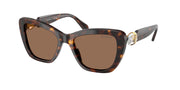 Swarovski SK6018 Havana Sunglasses